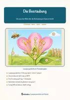 Vorschau - Arbeitsblätter - Die Bestäubung – Lesespurgeschichte mit Rätselaufgaben (Klasse 9) - Seite 1