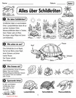 Vorschau - Stundenentwürfe - Schildkröten – Sachtexte, Leseverständnis & Entwicklung | Differenziert in 3 Stufen | 2.–5. Klasse - Seite 1