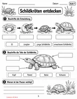 Vorschau - Stundenentwürfe - Schildkröten – Sachtexte, Leseverständnis & Entwicklung | Differenziert in 3 Stufen | 2.–5. Klasse - Seite 3
