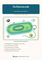 Vorschau - Arbeitsblätter - Die Bakterienzelle – Lesespurgeschichte mit Rätselaufgaben (Klasse 8) - Seite 1
