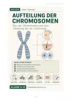 Vorschau - Stundenentwürfe - Aufteilung der Chromosomen | Bio Kl. 9/10 - Seite 1