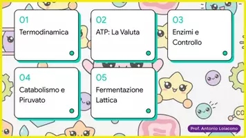anteprima - Esercizi - ATP, enzimi, catabolismo e fermentazione lattica - Pagina 1