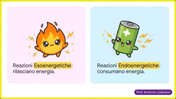 anteprima - Esercizi - ATP, enzimi, catabolismo e fermentazione lattica - Pagina 3