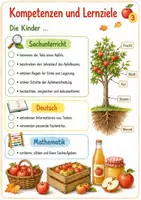 Vorschau - Stundenentwürfe - Apfel & Apfelernte – Lernwerkstatt Sachunterricht Klasse 1–3 | differenziert mit Lösungen - Seite 2
