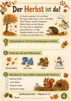Vorschau - Stundenentwürfe - Tiere im Herbst und Winter – Winterschlaf, Winterruhe & Winterstarre | Sachunterricht Klasse 2–3 - Seite 3