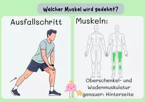 Vorschau - Stationenlernen - Richtig Dehnen: Dehnübungen mit Wahrnehmung der Muskel - Seite 3