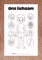 Voorbeeld - W.O. Thema Pakket: Ons Lichaam - niveau eerste leerjaar (groep 3) - Voorblad