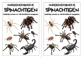 Voorbeeld - Onderzoeksboekje - Spinachtigen - Biologie - Pagina 2