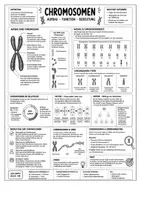 Vorschau - Arbeitsblätter - Chromosomen - Infomaterial, Merkblätter, AB mit Lösung - Deckblatt