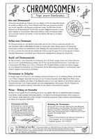 Vorschau - Arbeitsblätter - Chromosomen - Infomaterial, Merkblätter, AB mit Lösung - Seite 2