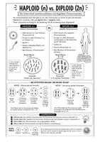 Vorschau - Arbeitsblätter - Chromosomen - Infomaterial, Merkblätter, AB mit Lösung - Seite 3