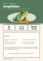 Vorschau - Stundenentwürfe - Wirbeltiere als Expertenpuzzle: Amphibien Ein vollständig geplantes Gruppenpuzzle für eine Doppelstunde Biologie in Klasse 5 oder 6 - Deckblatt