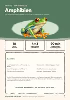Vorschau - Stundenentwürfe - Wirbeltiere als Expertenpuzzle: Amphibien Ein vollständig geplantes Gruppenpuzzle für eine Doppelstunde Biologie in Klasse 5 oder 6 - Seite 1
