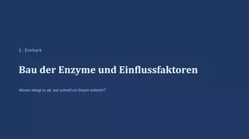 Vorschau - Unterrichtsreihen - Unterrichtsreihe: Grundlagen der Enzymatik - Seite 2
