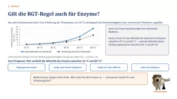 Vorschau - Unterrichtsreihen - Unterrichtsreihe: Grundlagen der Enzymatik - Seite 3