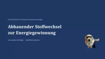 Vorschau - Unterrichtsreihen - Unterrichtsreihe: Abbauender Stoffwechsel - Deckblatt