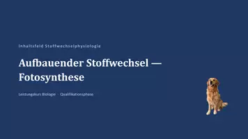 Vorschau - Unterrichtsreihen - Materialpaket: Stoffwechselphysiologie in der Oberstufe - Deckblatt