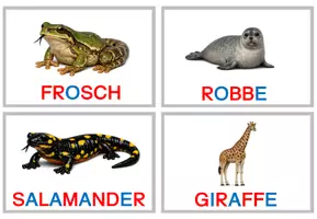 Vorschau - Fördermaterial/Inklusion - Abschreibkarten: Tiernamen - Seite 2