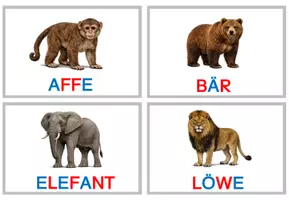 Vorschau - Fördermaterial/Inklusion - Abschreibkarten: Tiernamen - Seite 3