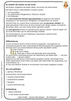 Vorschau - Fördermaterial/Inklusion - Finde den Fehler im Herbst: Suchbilder zur visuellen Wahrnehmung für Grundschule und Förderschule - Seite 2