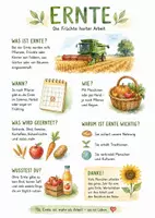 Vorschau - Arbeitsblätter - Lernplakat + AB mit Fragen zum Thema "Ernte" + Lösungsblatt + Infografik - Deckblatt