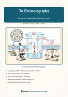 Vorschau - Mal- und Bastelvorlagen - Die Chromatographie – Lesespurgeschichte mit Rätselaufgaben (Klasse 8) - Seite 2