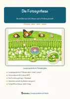 Vorschau - Arbeitsblätter - Die Fotosynthese – Lesespurgeschichte mit Rätselaufgaben (Klasse 8) - Seite 2