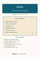 Vorschau - Arbeitsblätter - Die Niere – Prüfungstraining Biologie (Klasse 8) - Seite 1