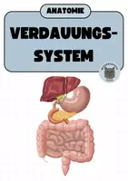 Vorschau - Präsentationen/Tafelbilder - Verdauungssystem - Deckblatt