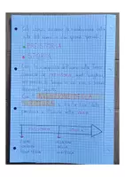 anteprima - Materiale di supporto/inclusione - QUADERNO DI STORIA CLASSE 4 MAESTRA ALLEGRA - Pagina 3