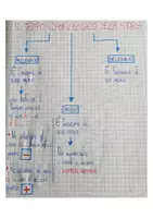 anteprima - Materiale di supporto/inclusione - QUADERNO DI STORIA CLASSE 5 - Pagina 2