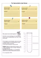 Vorschau - Arbeitsblätter - Blutbestandteile - Seite 2