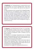 Vorschau - Arbeitsblätter - Blutbestandteile - Seite 3