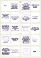 Vorschau - Spiele - Domino Geschlechtsorgane - Deckblatt