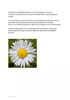 Vorschau - Spiele - Gänseblümchen-Puzzle - Seite 1
