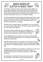 Vorschau - Arbeitsblätter - Herbst Lesetexte & Textverständnis Aufgaben - Seite 1
