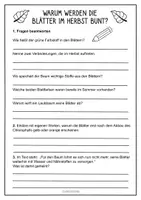 Vorschau - Arbeitsblätter - Herbst Lesetexte & Textverständnis Aufgaben - Seite 2