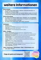 Vorschau - Stundenentwürfe - Fermi-Aufgabe (Autos im Stau) - Komplettpaket - Seite 1