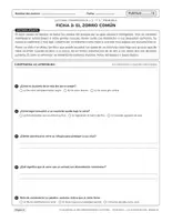 Vista previa - Hojas de trabajo - Comprensión Lectora: Animales del Bosque (PDF Imprimible) - página 3