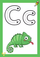 Vorschau - Poster - Buchstaben A-Z | Schwungübungen | Alphabet Aushang | Deko - Seite 3