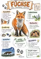 Vorschau - Arbeitsblätter - Lernposter + AB mit Fragen zum Thema "Füchse" + Lösungsblatt + Infografik - Deckblatt