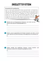 Vorschau - Arbeitsblätter - Sportbiologische Grundlagen ⎮ Skelettsystem - Übungsaufgabe für Klasse 10 bis 13 - Seite 2