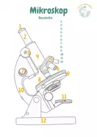 Vorschau - Arbeitsblätter - Materialpaket: Methoden der Biologie & Mikroskopieren (Einführung) - Seite 1