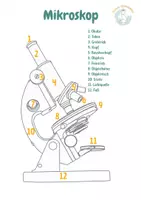 Vorschau - Arbeitsblätter - Materialpaket: Methoden der Biologie & Mikroskopieren (Einführung) - Seite 3