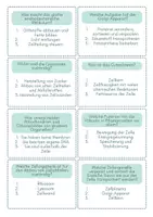Vorschau - Arbeitsblätter - Quiz zu den Zellorganellen - Seite 3