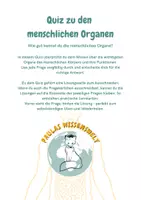 Vorschau - Arbeitsblätter - Quiz zu den menschlichen Organen und ihrer Funktion - Seite 1
