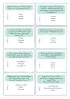 Vorschau - Arbeitsblätter - Quiz zu den menschlichen Organen und ihrer Funktion - Deckblatt
