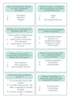 Vorschau - Arbeitsblätter - Quiz zu den menschlichen Organen und ihrer Funktion - Seite 3