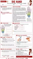 Vorschau - Unterrichtsreihen - 🦴✋🦶 Wirbelsäule, Hand & Fuß 🩻🔬 | Unterrichtsmaterial Biologie(Bio) 🧬 | Arbeitsblätter ✏️ Lösungen ✅ Einstieg 💡 Ausstieg 💬 & Unterrichtsablauf 👩🏫 | Klasse 7–8 🎓 - Seite 1