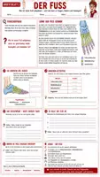 Vorschau - Unterrichtsreihen - 🦴✋🦶 Wirbelsäule, Hand & Fuß 🩻🔬 | Unterrichtsmaterial Biologie(Bio) 🧬 | Arbeitsblätter ✏️ Lösungen ✅ Einstieg 💡 Ausstieg 💬 & Unterrichtsablauf 👩🏫 | Klasse 7–8 🎓 - Seite 2